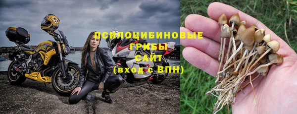 таблы Арсеньев